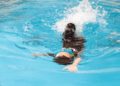 Pool Owner Responsibility| Expert Advice