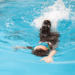 Pool Owner Responsibility| Expert Advice